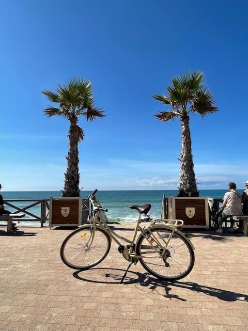 Apartament Superbe Vue A 180° Sur L'Ocean Lacanau Zewnętrze zdjęcie