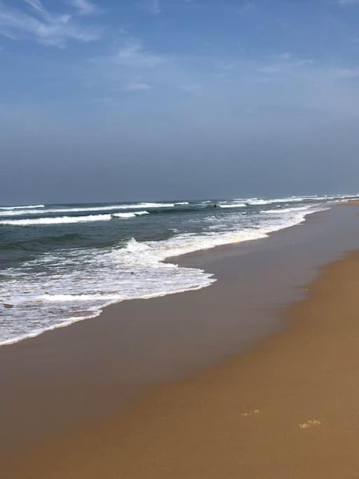 Apartament Superbe Vue A 180° Sur L'Ocean Lacanau Zewnętrze zdjęcie
